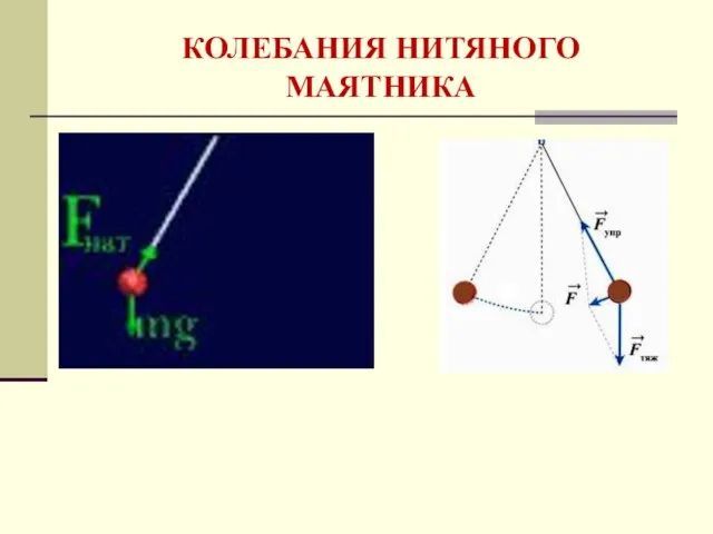 КОЛЕБАНИЯ НИТЯНОГО МАЯТНИКА