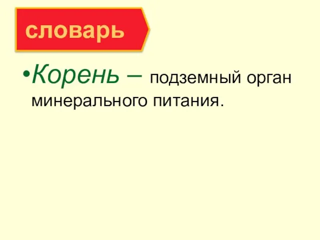 Корень – подземный орган минерального питания. словарь