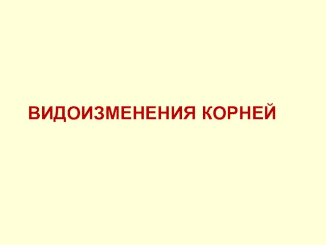 ВИДОИЗМЕНЕНИЯ КОРНЕЙ