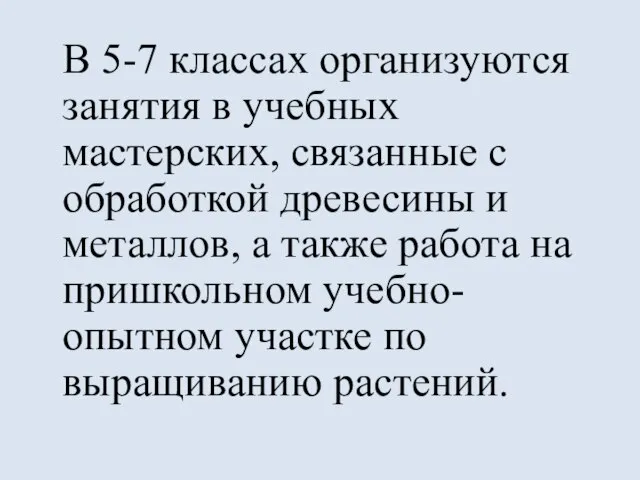 В 5-7 классах организуются занятия в учебных мастерских, связанные с обработкой древесины