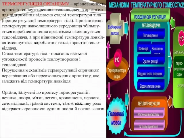 ТЕРМОРЕГУЛЯЦІЯ ОРГАНІЗМУ – врівноваженість процесів теплоутворення і тепловіддачі в організмі для підтримання