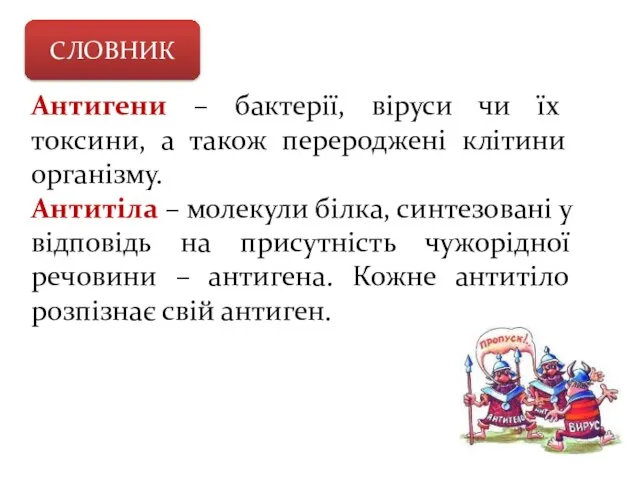 СЛОВНИК Антигени – бактерії, віруси чи їх токсини, а також перероджені клітини