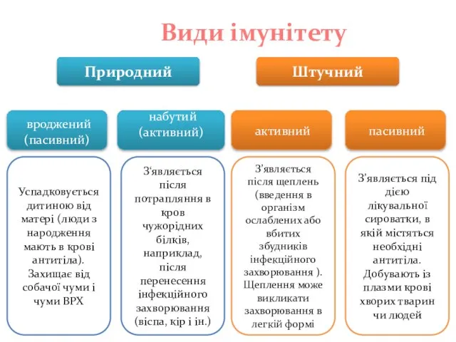 Види імунітету Природний Штучний вроджений (пасивний) набутий (активний) активний пасивний Успадковується дитиною