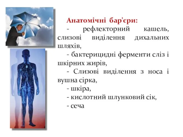 Анатомічні бар’єри: - рефлекторний кашель, слизові виділення дихальних шляхів, - бактерицидні ферменти