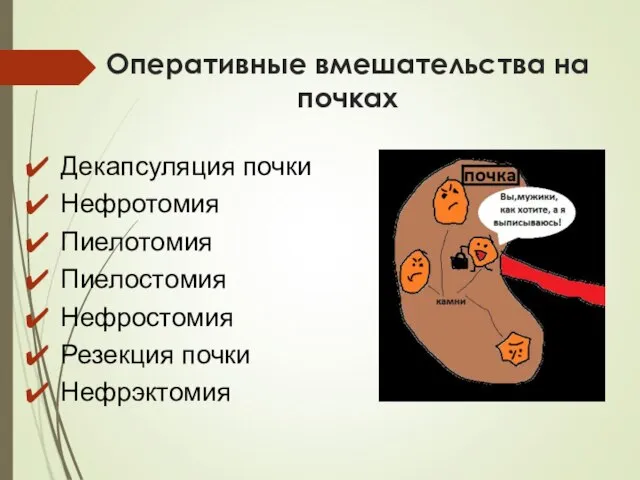 Оперативные вмешательства на почках Декапсуляция почки Нефротомия Пиелотомия Пиелостомия Нефростомия Резекция почки Нефрэктомия