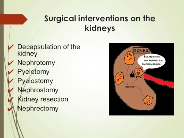 Surgical interventions on the kidneys Decapsulation of the kidney Nephrotomy Pyelotomy Pyelostomy Nephrostomy Kidney resection Nephrectomy