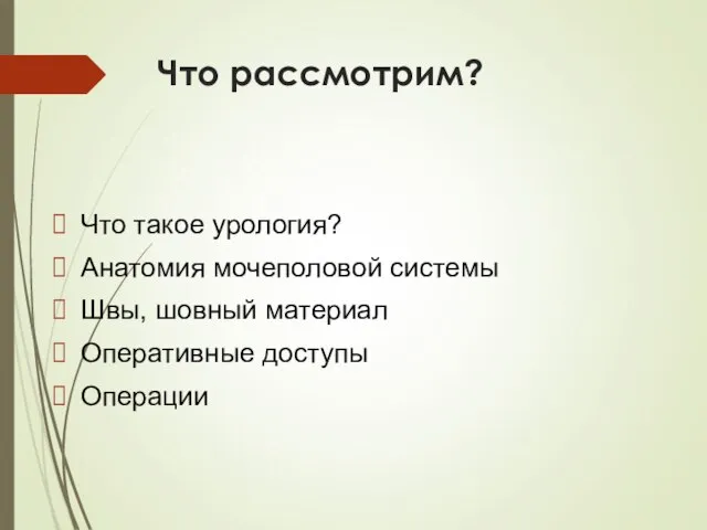 Что такое урология? Анатомия мочеполовой системы Швы, шовный материал Оперативные доступы Операции Что рассмотрим?