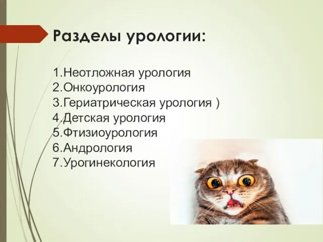 Разделы урологии: 1.Неотложная урология 2.Онкоурология 3.Гериатрическая урология ) 4.Детская урология 5.Фтизиоурология 6.Андрология 7.Урогинекология