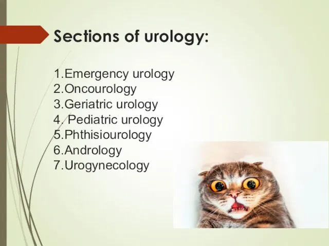 Sections of urology: 1.Emergency urology 2.Oncourology 3.Geriatric urology 4. Pediatric urology 5.Phthisiourology 6.Andrology 7.Urogynecology