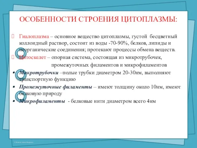 ОСОБЕННОСТИ СТРОЕНИЯ ЦИТОПЛАЗМЫ: Гиалоплазма – основное вещество цитоплазмы, густой бесцветный коллоидный раствор,