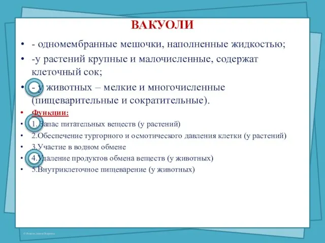 ВАКУОЛИ - одномембранные мешочки, наполненные жидкостью; -у растений крупные и малочисленные, содержат