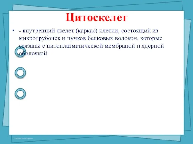 Цитоскелет - внутренний скелет (каркас) клетки, состоящий из микротрубочек и пучков белковых