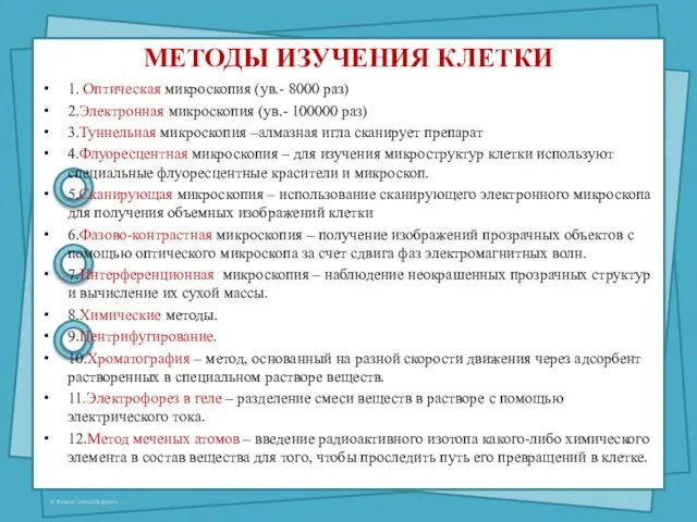 МЕТОДЫ ИЗУЧЕНИЯ КЛЕТКИ 1. Оптическая микроскопия (ув.- 8000 раз) 2.Электронная микроскопия (ув.-