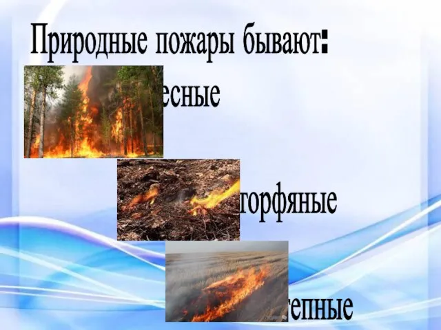Природные пожары бывают: лесные торфяные степные