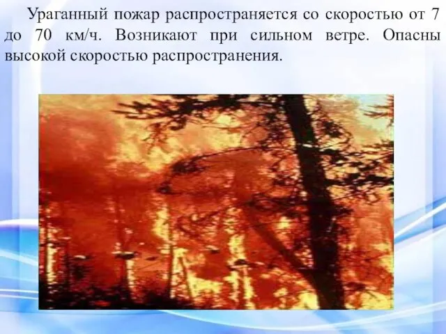 Ураганный пожар распространяется со скоростью от 7 до 70 км/ч. Возникают при