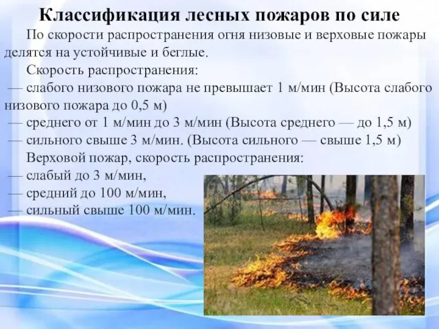 Классификация лесных пожаров по силе По скорости распространения огня низовые и верховые