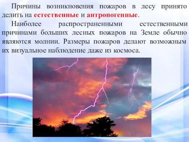 Причины возникновения пожаров в лесу принято делить на естественные и антропогенные. Наиболее