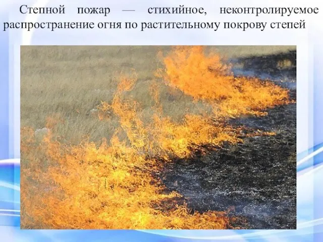 Степной пожар — стихийное, неконтролируемое распространение огня по растительному покрову степей