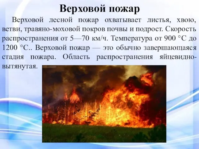 Верховой пожар Верховой лесной пожар охватывает листья, хвою, ветви, травяно-моховой покров почвы