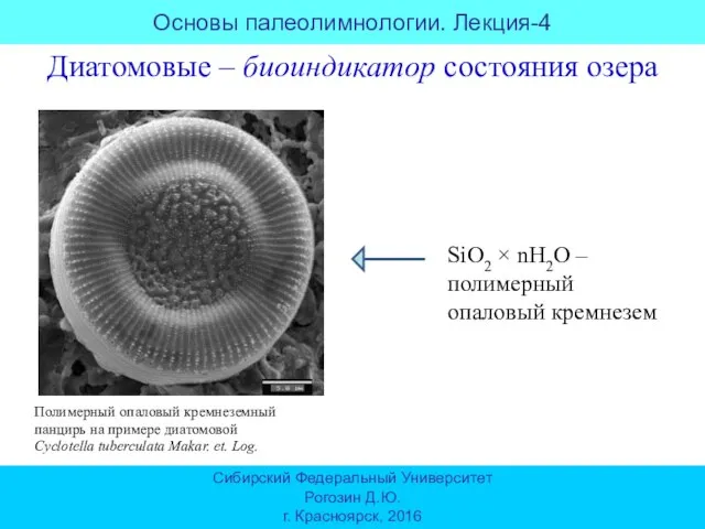 Диатомовые – биоиндикатор состояния озера SiO2 × nH2O – полимерный опаловый кремнезем