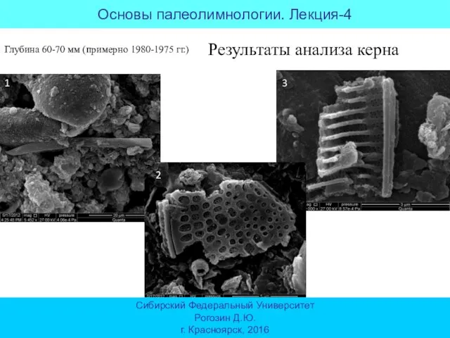 Результаты анализа керна Глубина 60-70 мм (примерно 1980-1975 гг.) 1 2 3