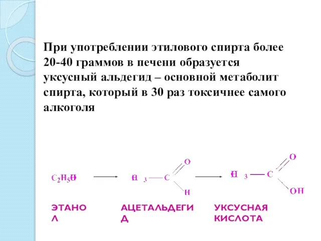 При употреблении этилового спирта более 20-40 граммов в печени образуется уксусный альдегид