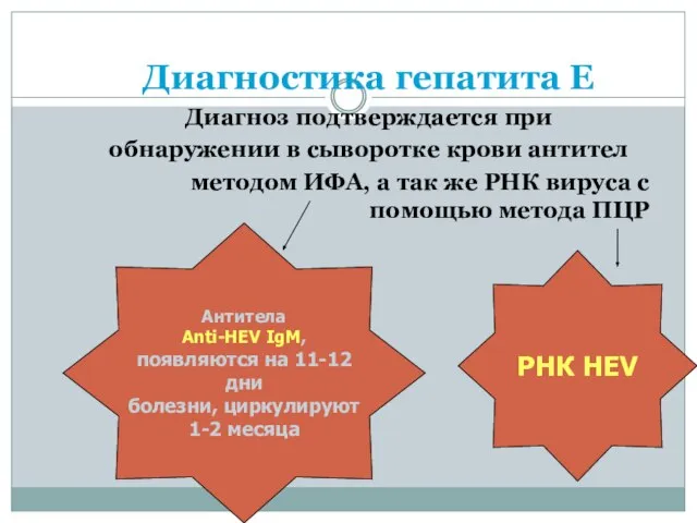 Диагностика гепатита Е Диагноз подтверждается при обнаружении в сыворотке крови антител методом