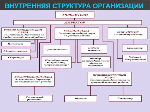 ВНУТРЕННЯЯ СТРУКТУРА ОРГАНИЗАЦИИ