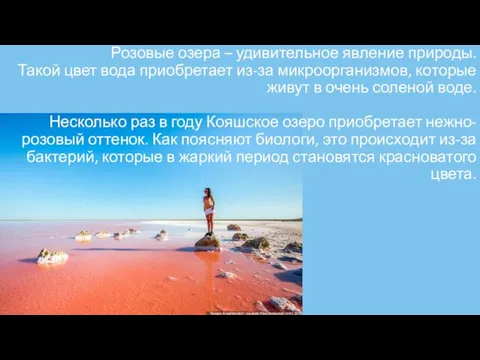 Розовые озера – удивительное явление природы. Такой цвет вода приобретает из-за микроорганизмов,