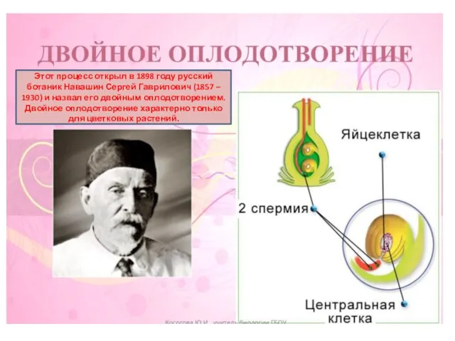 Этот процесс открыл в 1898 году русский ботаник Навашин Сергей Гаврилович (1857