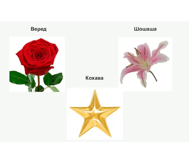 Веред Шошаша Кохава