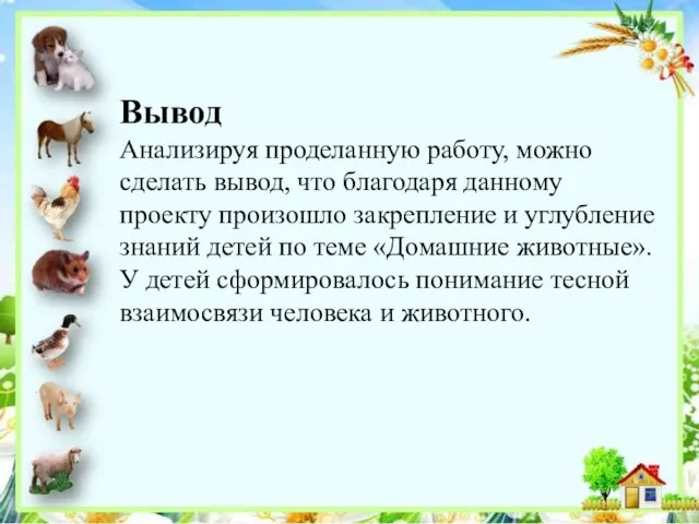 Вывод Анализируя проделанную работу, можно сделать вывод, что благодаря данному проекту произошло