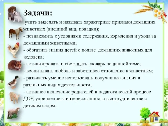 Задачи: учить выделять и называть характерные признаки домашних животных (внешний вид, повадки);