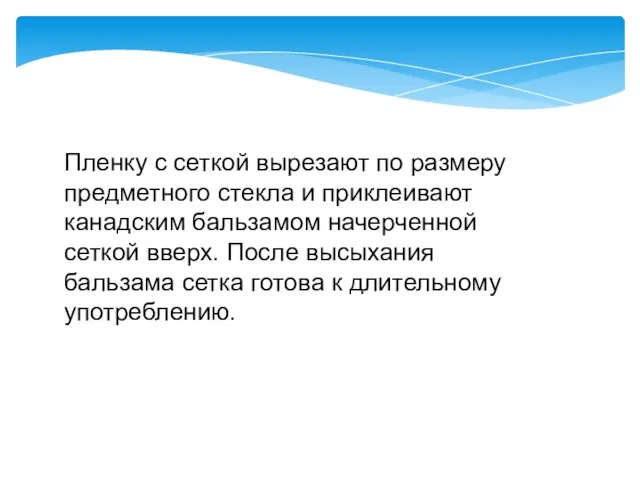 Пленку с сеткой вырезают по размеру предметного стекла и приклеивают канадским бальзамом