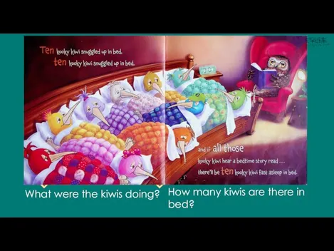 What were the kiwis doing? How many kiwis are there in bed?