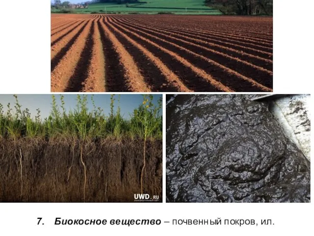 Биокосное вещество – почвенный покров, ил.