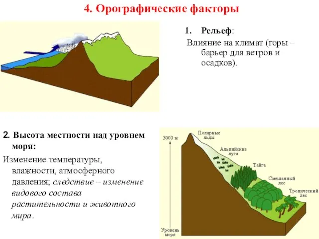 4. Орографические факторы Рельеф: Влияние на климат (горы – барьер для ветров