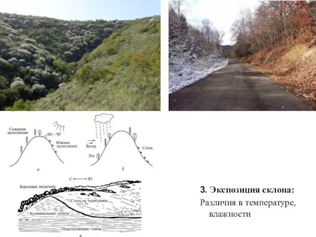 3. Экспозиция склона: Различия в температуре, влажности