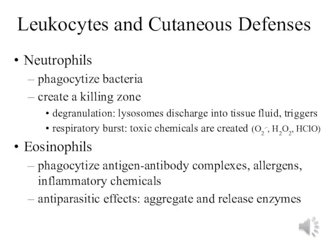 Leukocytes and Cutaneous Defenses Neutrophils phagocytize bacteria create a killing zone degranulation: