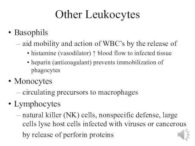 Other Leukocytes Basophils aid mobility and action of WBC’s by the release