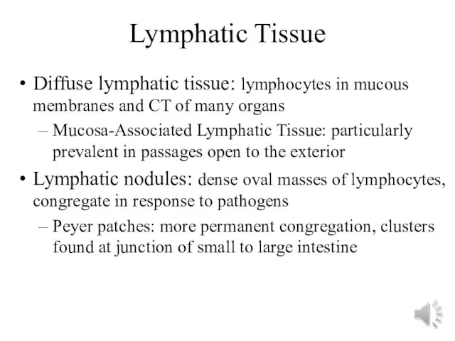 Lymphatic Tissue Diffuse lymphatic tissue: lymphocytes in mucous membranes and CT of