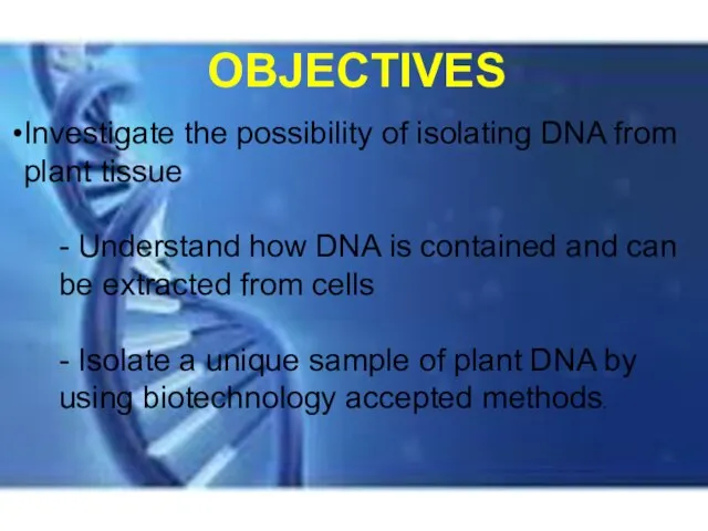 OBJECTIVES Investigate the possibility of isolating DNA from plant tissue - Understand