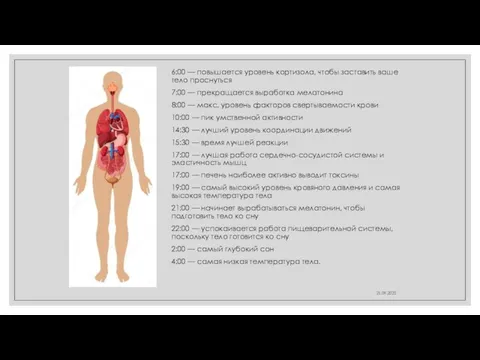 21.09.2022 6:00 — повышается уровень кортизола, чтобы заставить ваше тело проснуться 7:00