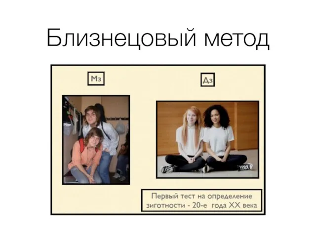 Близнецовый метод