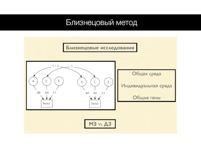 Близнецовый метод