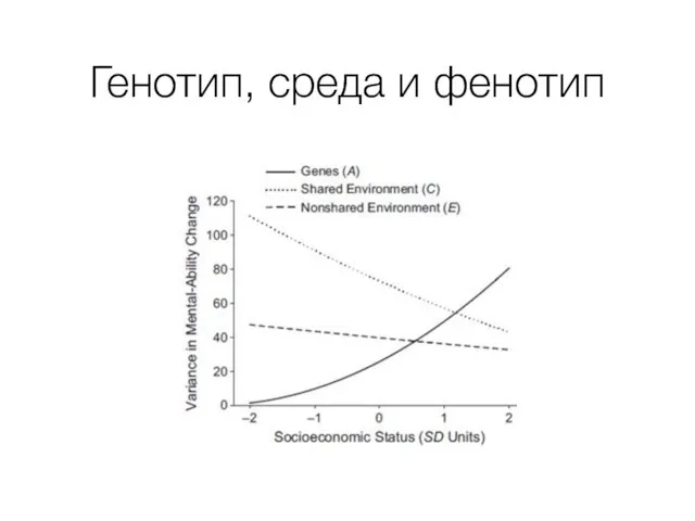 Генотип, среда и фенотип