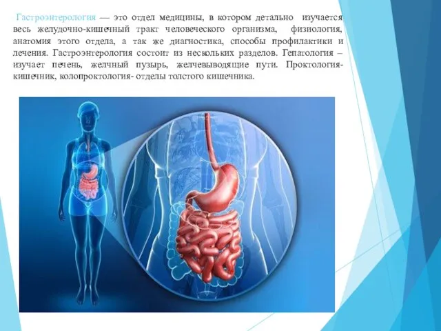 Гастроэнтерология — это отдел медицины, в котором детально изучается весь желудочно-кишечный тракт