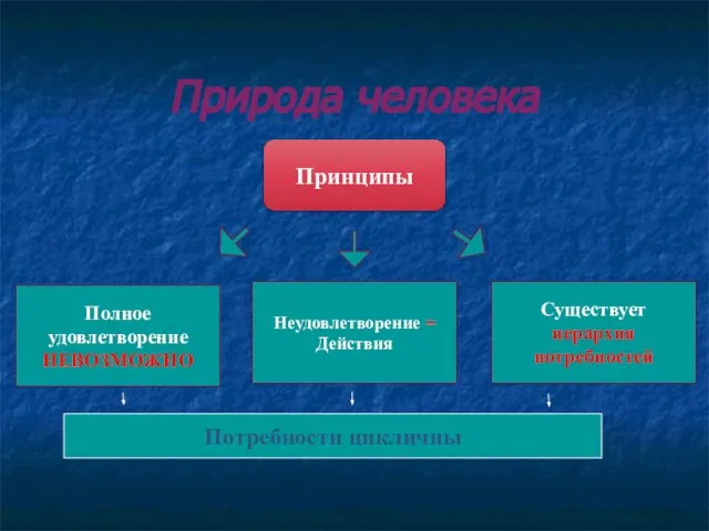 Природа человека Принципы Полное удовлетворение НЕВОЗМОЖНО Неудовлетворение = Действия Существует иерархия потребностей Потребности цикличны