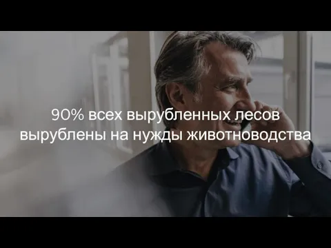 90% всех вырубленных лесов вырублены на нужды животноводства