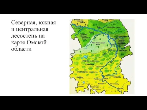 Северная, южная и центральная лесостепь на карте Омской области